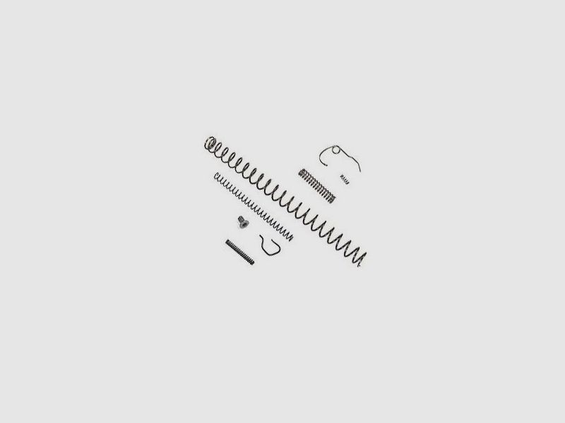 Federn Service Kit Kahr T9