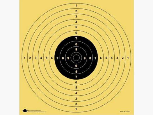 Cible fendue petit calibre/pistolet/ISSF 55 x 55 cm (lot de 100)