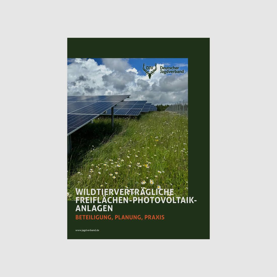 Broschüre „Wildtierverträgliche Freiflächen-Photovoltaik-Anlagen“