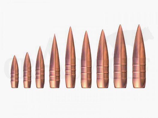 .408 / 10,2 mm 469 gr / 30,4 g GPA Balas Deportivos de Cobre 25 Piezas