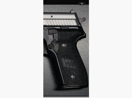 P229 Sig Sauer 