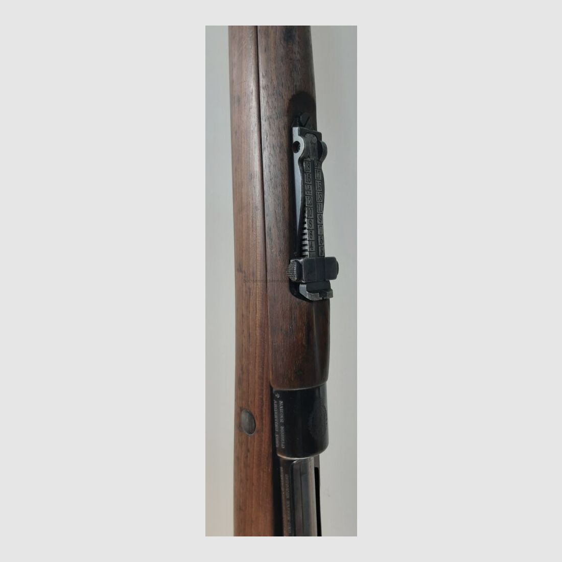 DWM M1909 Argentino
