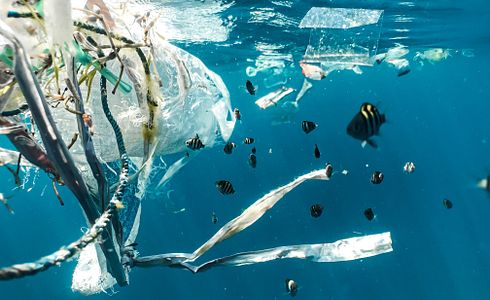 Angelgewässerpflege: Wie man die Umwelt beim Angeln schützt