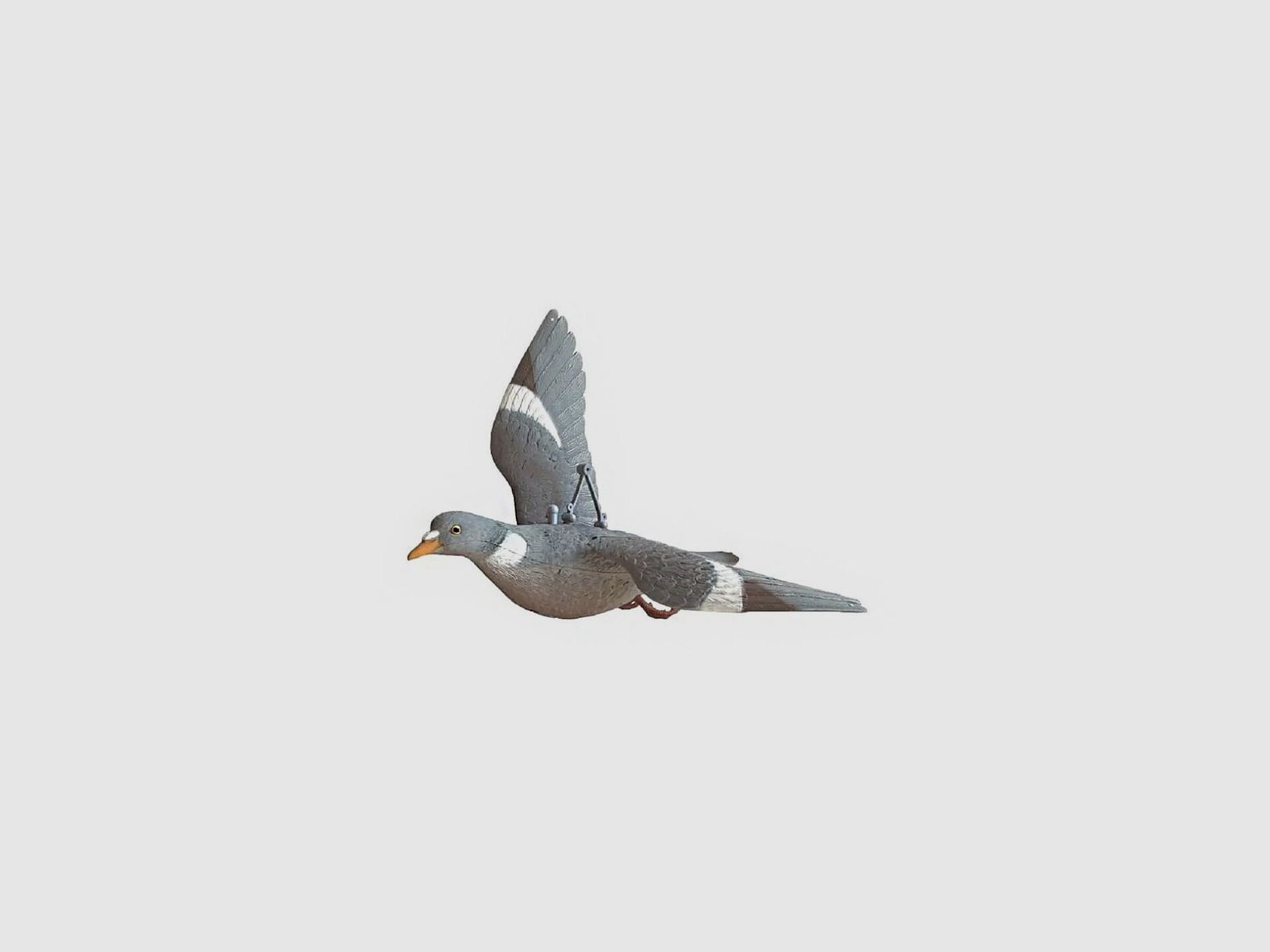 Moule pigeon ailes ouvertes, image 2 sur 2