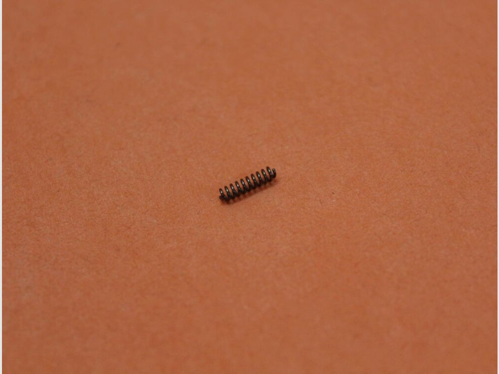 DPMS AR-15: Forward Assist Pawl Spring DPMS Locking Lever Spring for Closure Aid