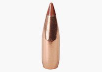 Hornady bullet .17/.172 NTX VARMINT 15.5GR 100 pieces