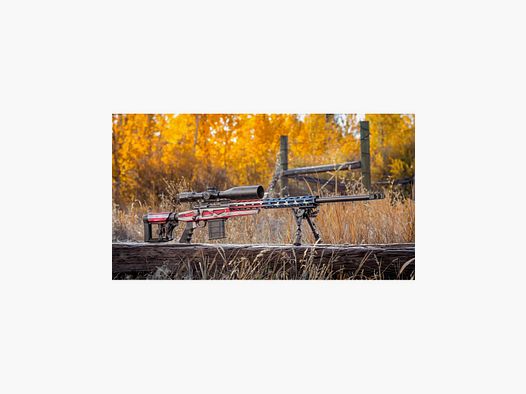Repetierbüchse allein American Flag Kal. 308 Win