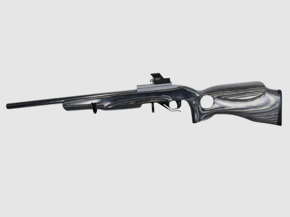 Ruger 10/22