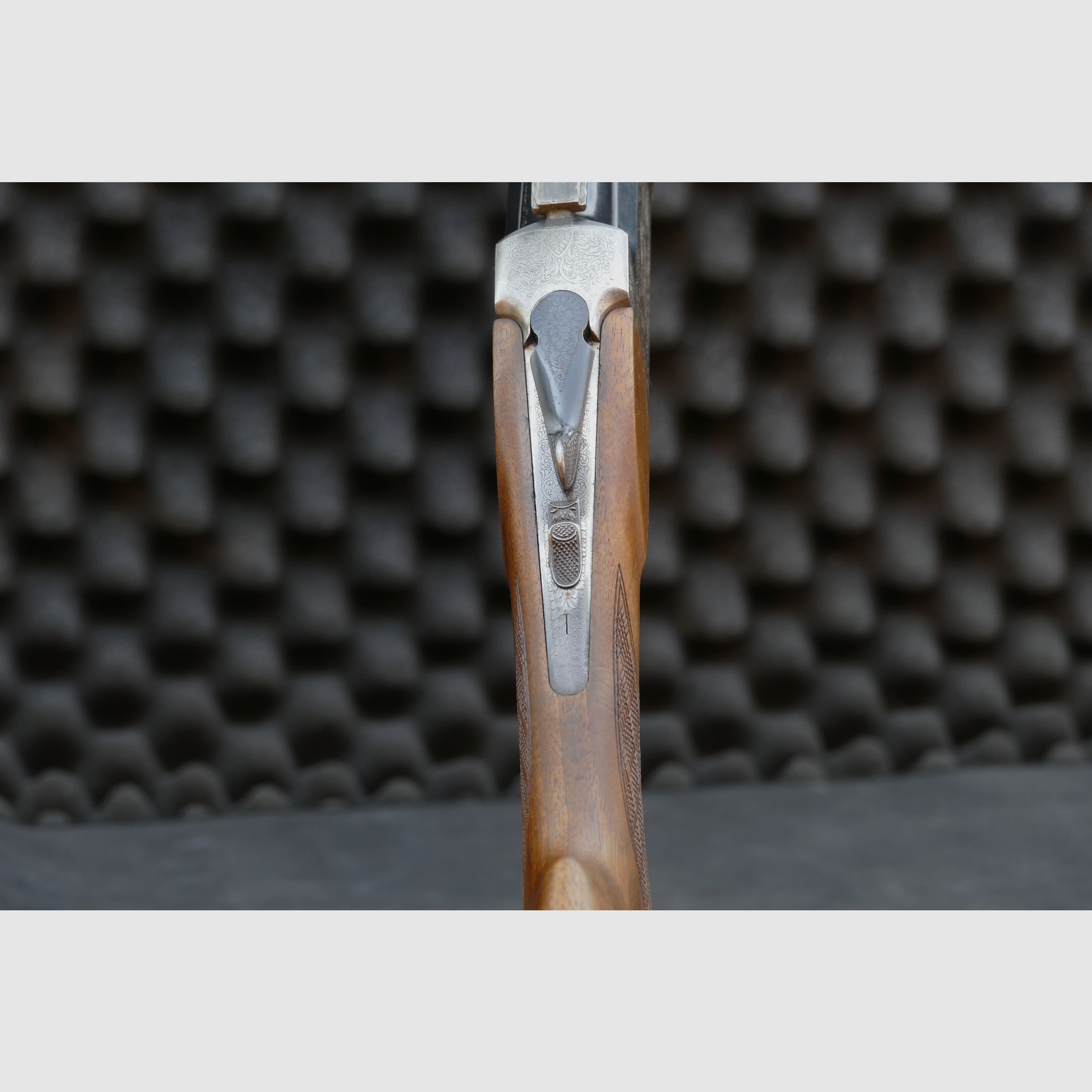 Antonio Zoli BBF in .243Win und 16/70