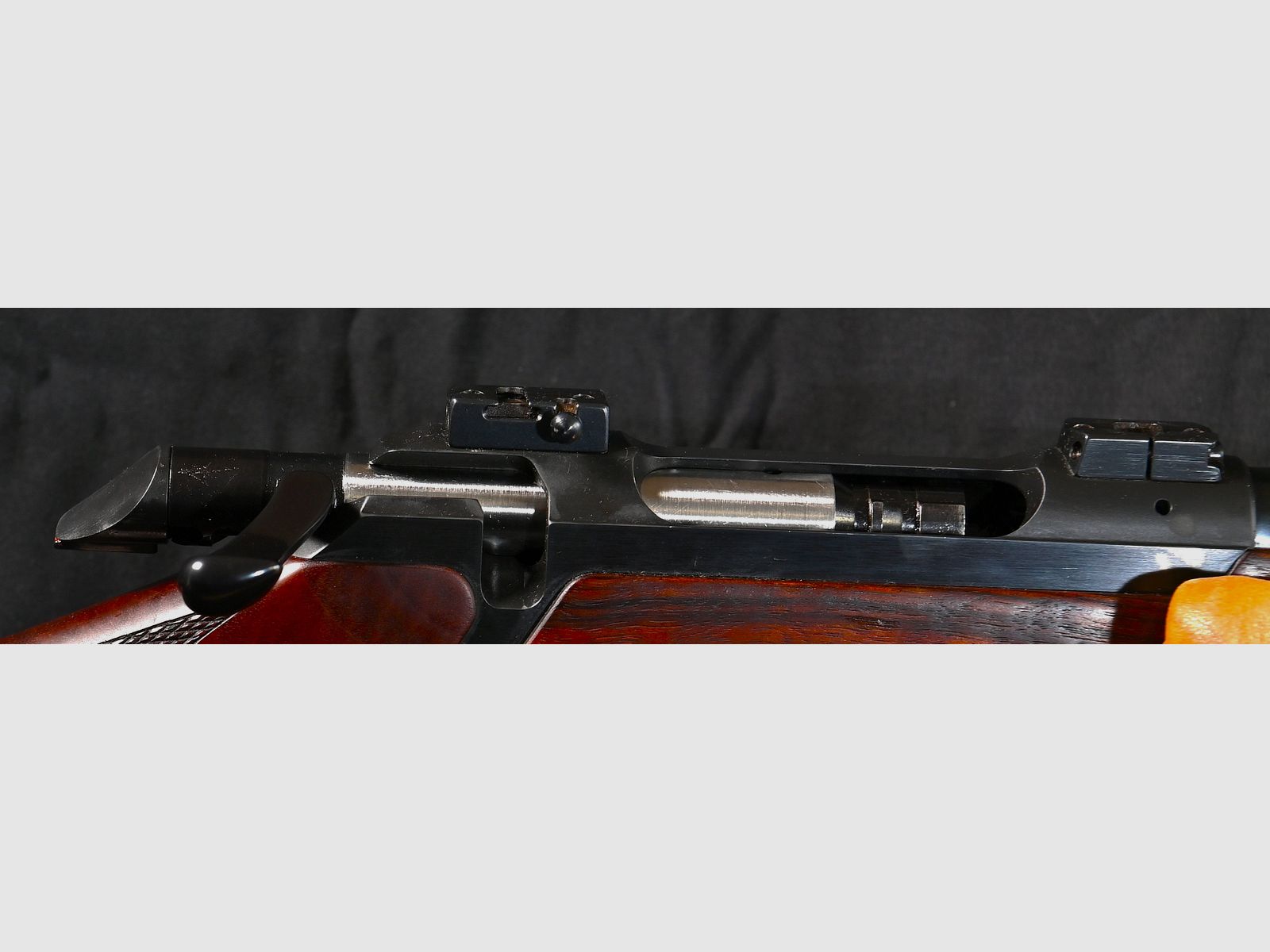 200 Europa mit ZF mit Parallaxe Ausgleich auf Schwenk Montage