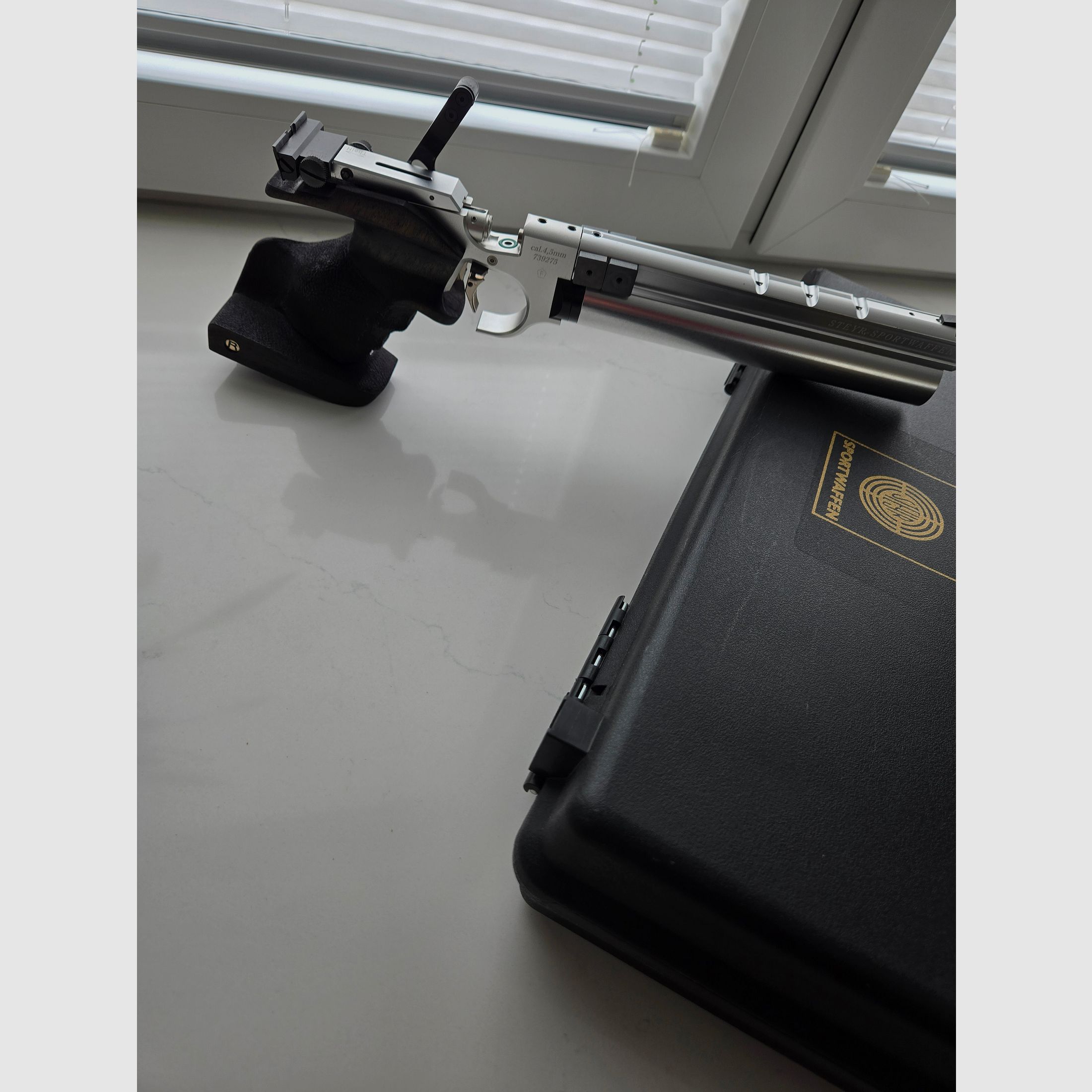 Steyr LP 10 with Rink grip