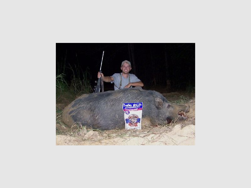 Hog Wild, immagine 2 di 4