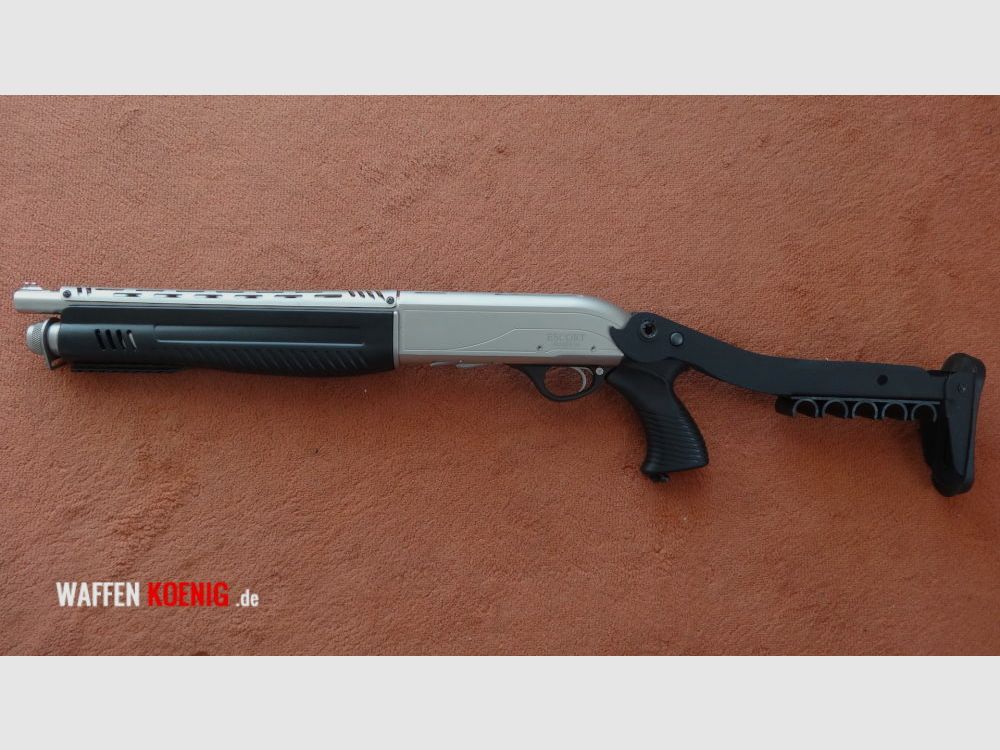 Hatsan SL-FLINTE: HATSAN ESCORT AUTO DEFEND MARINO CAL. 12/76