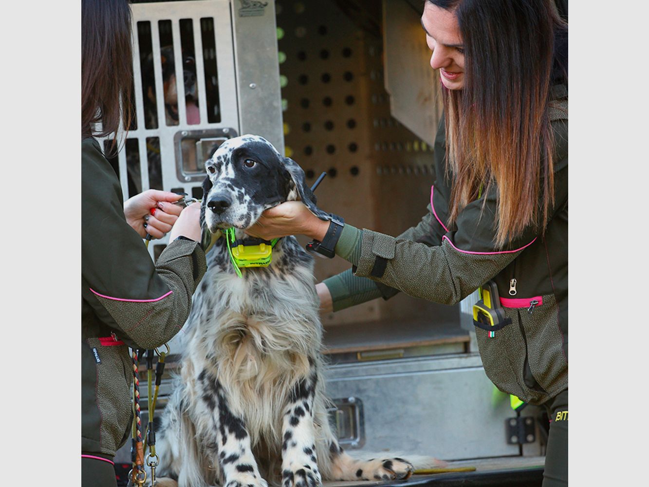 Collar Radio + GPS para perros de caza MITO 5100 BITRABI, imagen 6 de 7