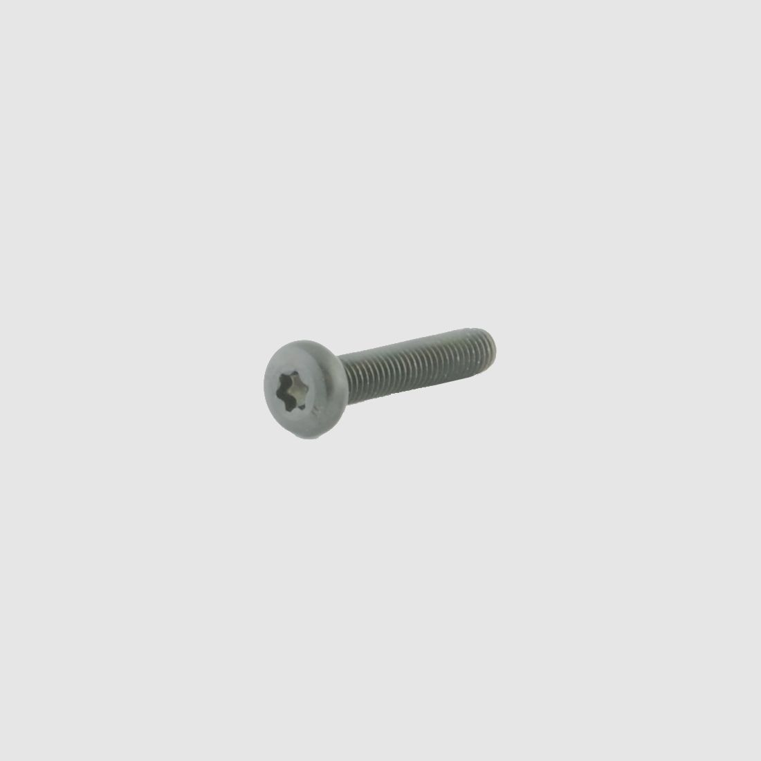 Spuhr Schrauben für Spannpratze M5x25 TX20 - 4 Stück