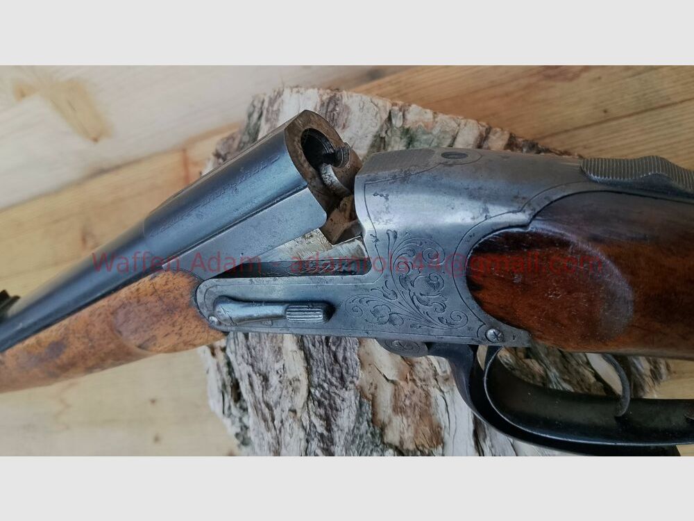 Sauer & Sohn Modell Tell , Hammerless, um 1900