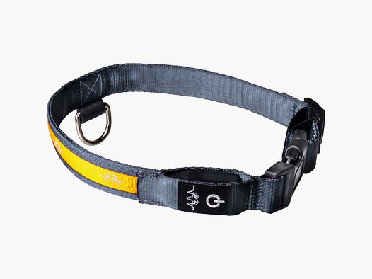 Collar LED BLASER