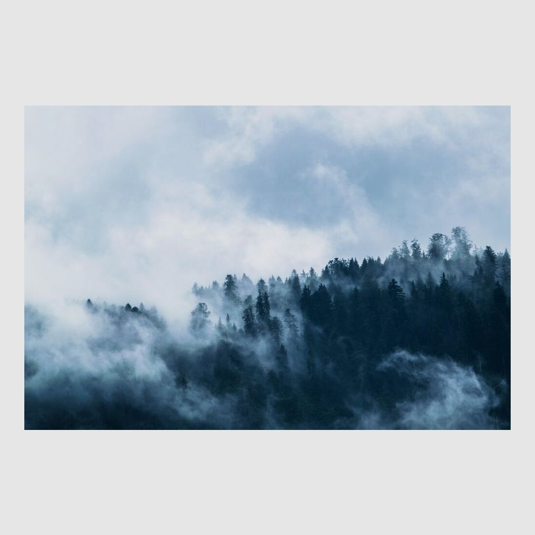 Verney Carron Speedline 308 Synthetique