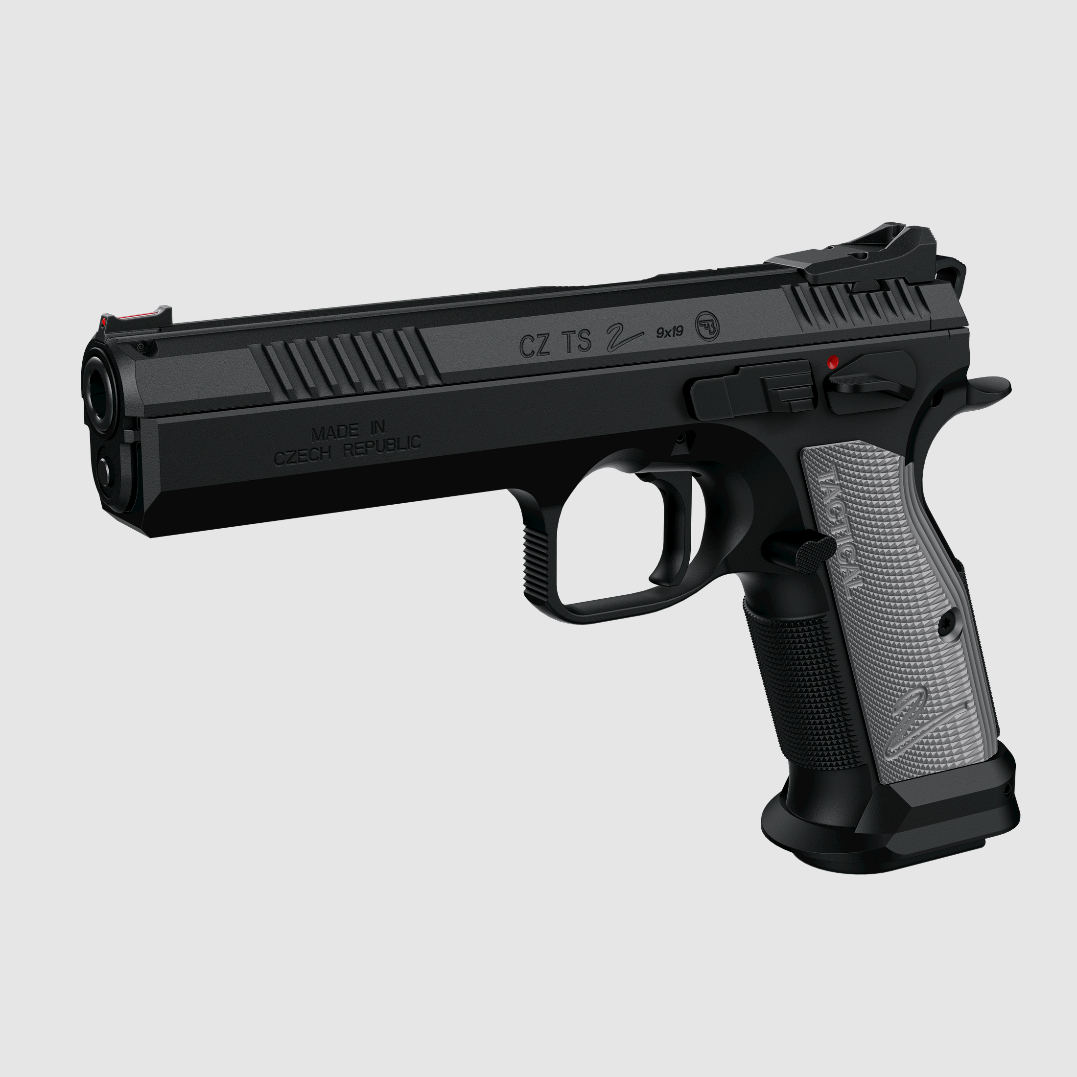 CZ TS2 Silver entry