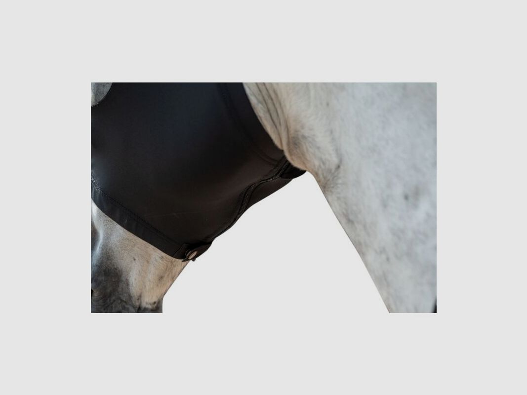 MÁSCARA ANTI MOSCAS PARA CABALLO, imagen 2 de 4