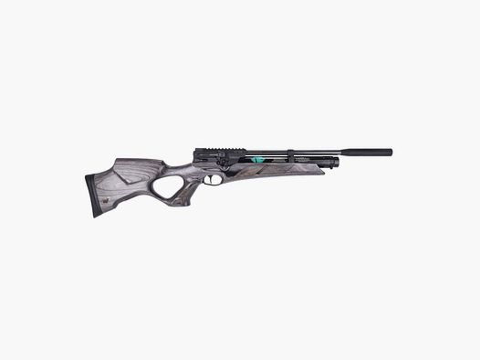 Weihrauch HW 110 T laminated stock air rifle