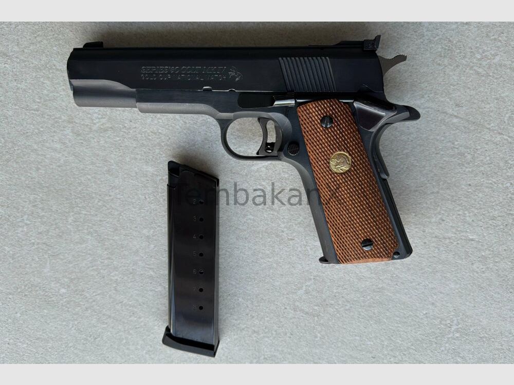 Colt 1911 MKIV Gold Cup Series 80 .45Auto