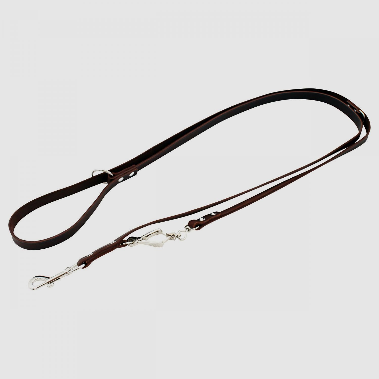 Leder-Hundeleine