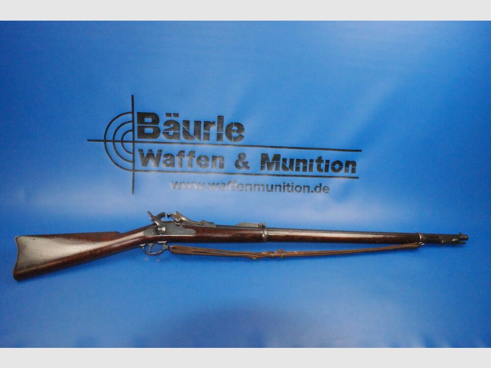 Springfield 1873 .45-70Gov