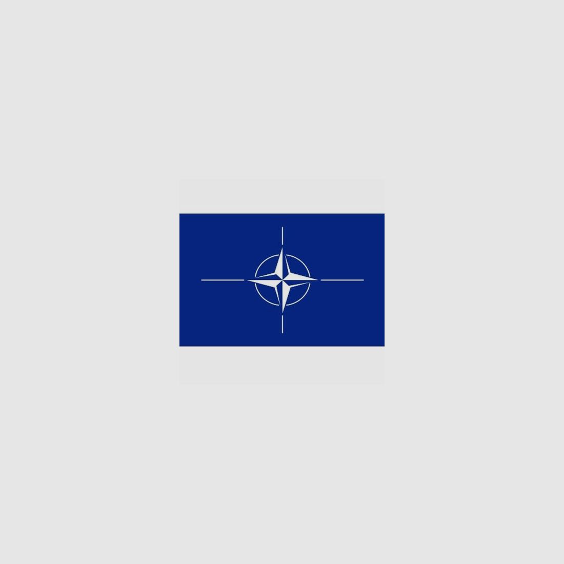 Vlag nato, afbeelding 1 van 3