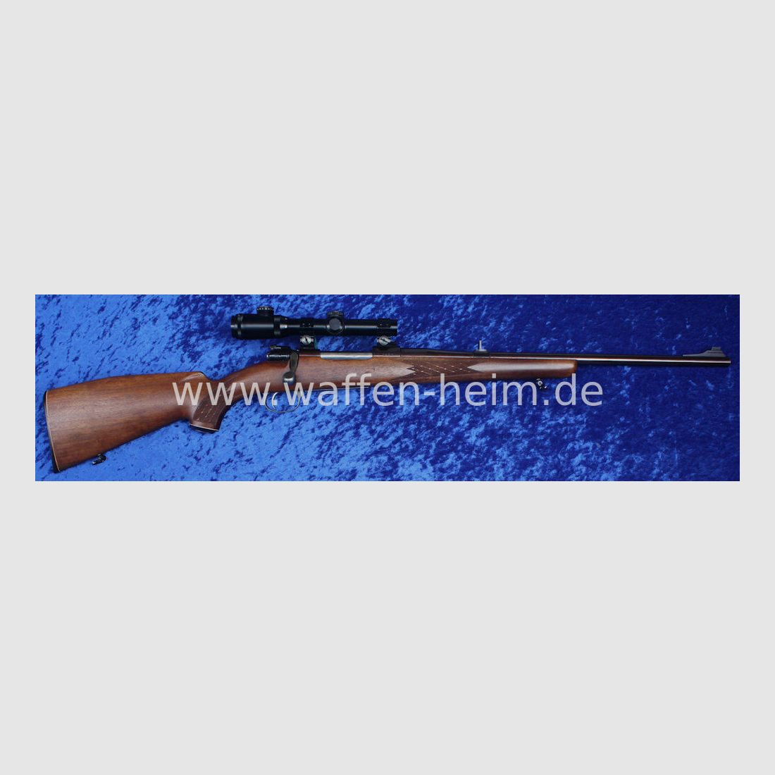Jürgen Wolf Leonberg M 98