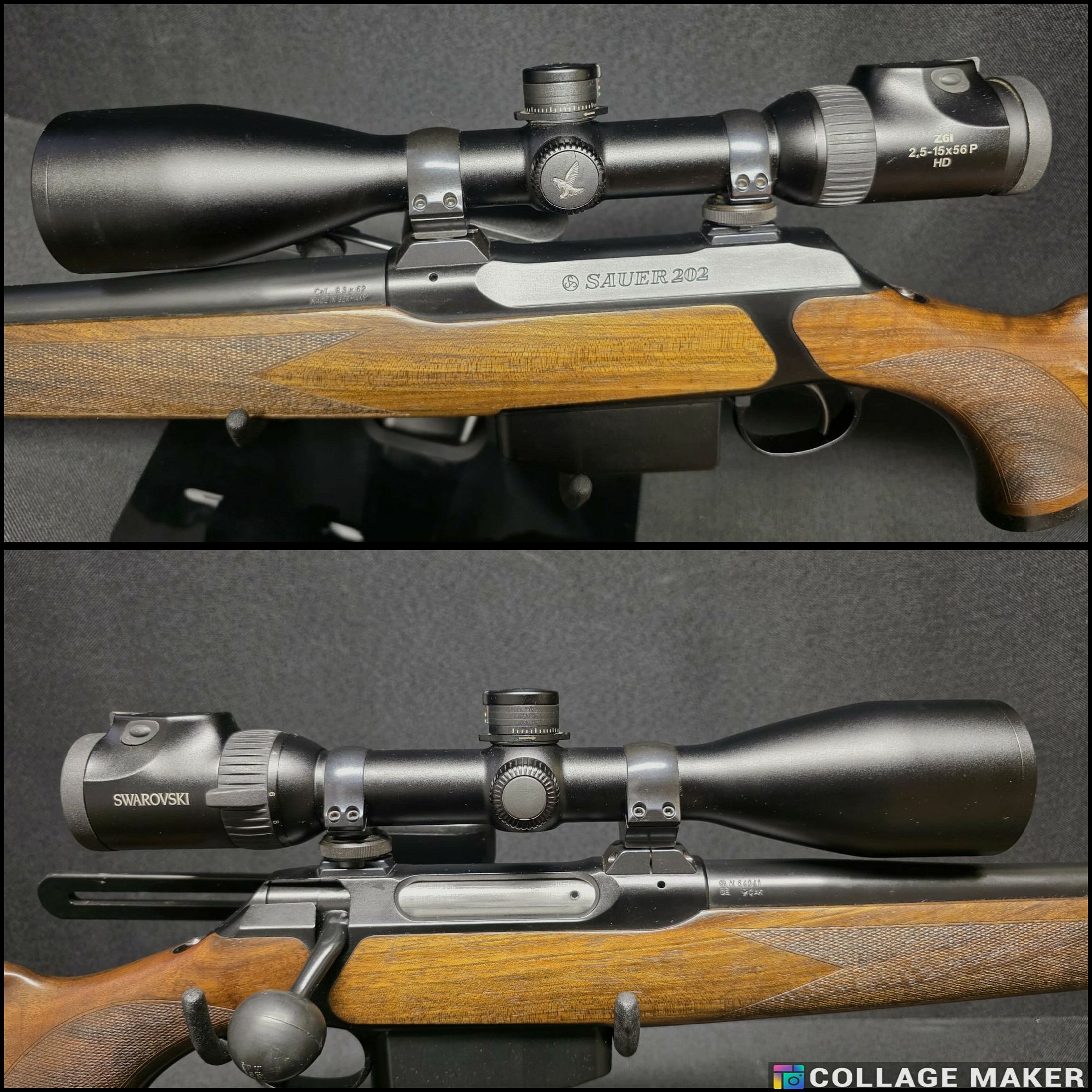 Sauer 202