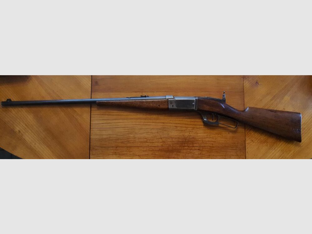 Savage 1899