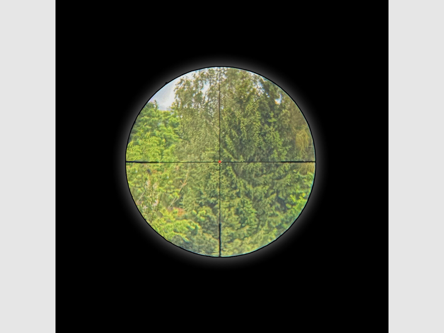 Professor Optiken Staffelsee 1-8x24 LD V2 Leuchtfaser-Absehen 4