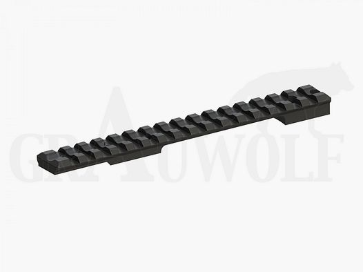 Recknagel Riel Picatinny Acero Remington 700 Corto 20 MOA