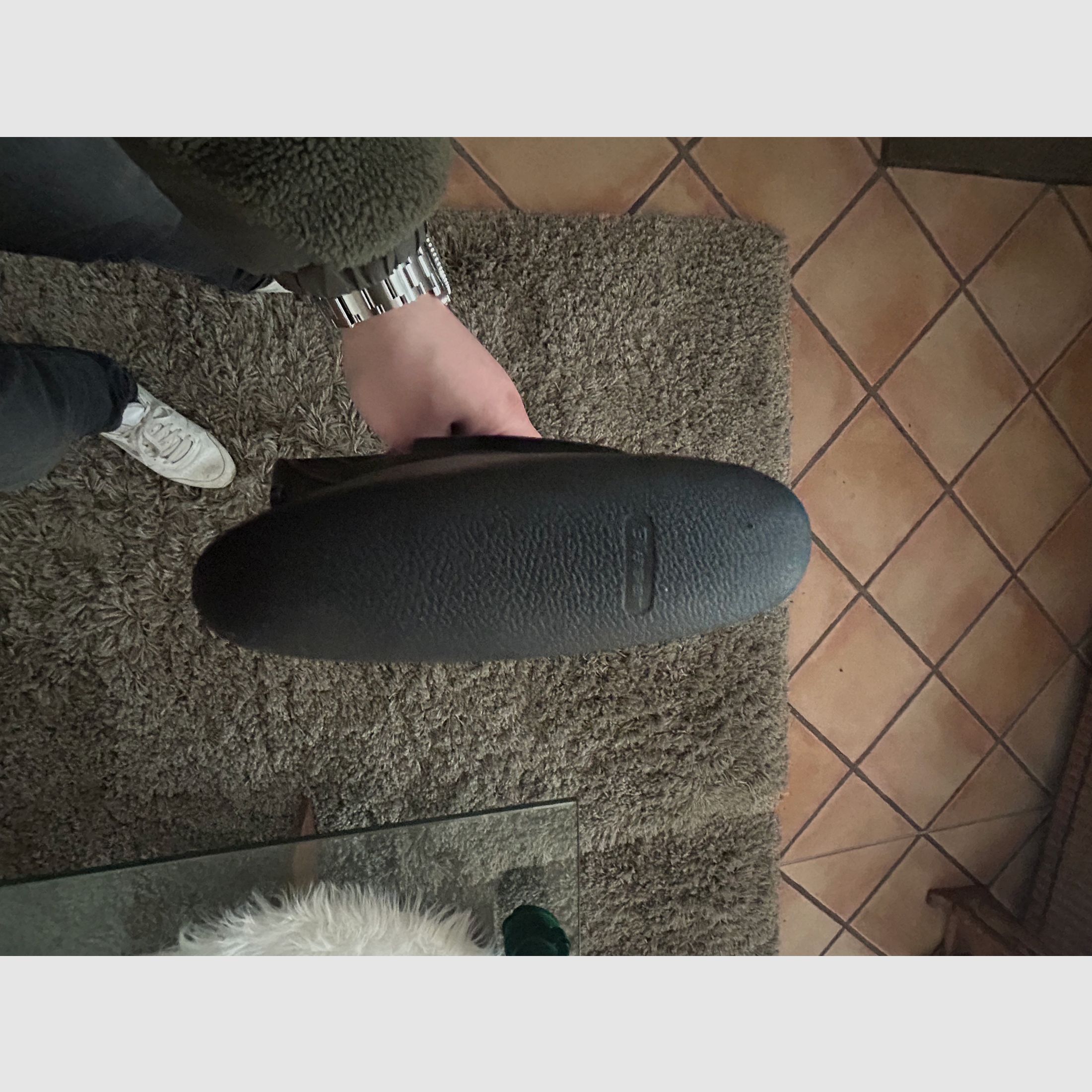 Repetierbüchse Blaser R8 Ultimate Silence 8,5x55