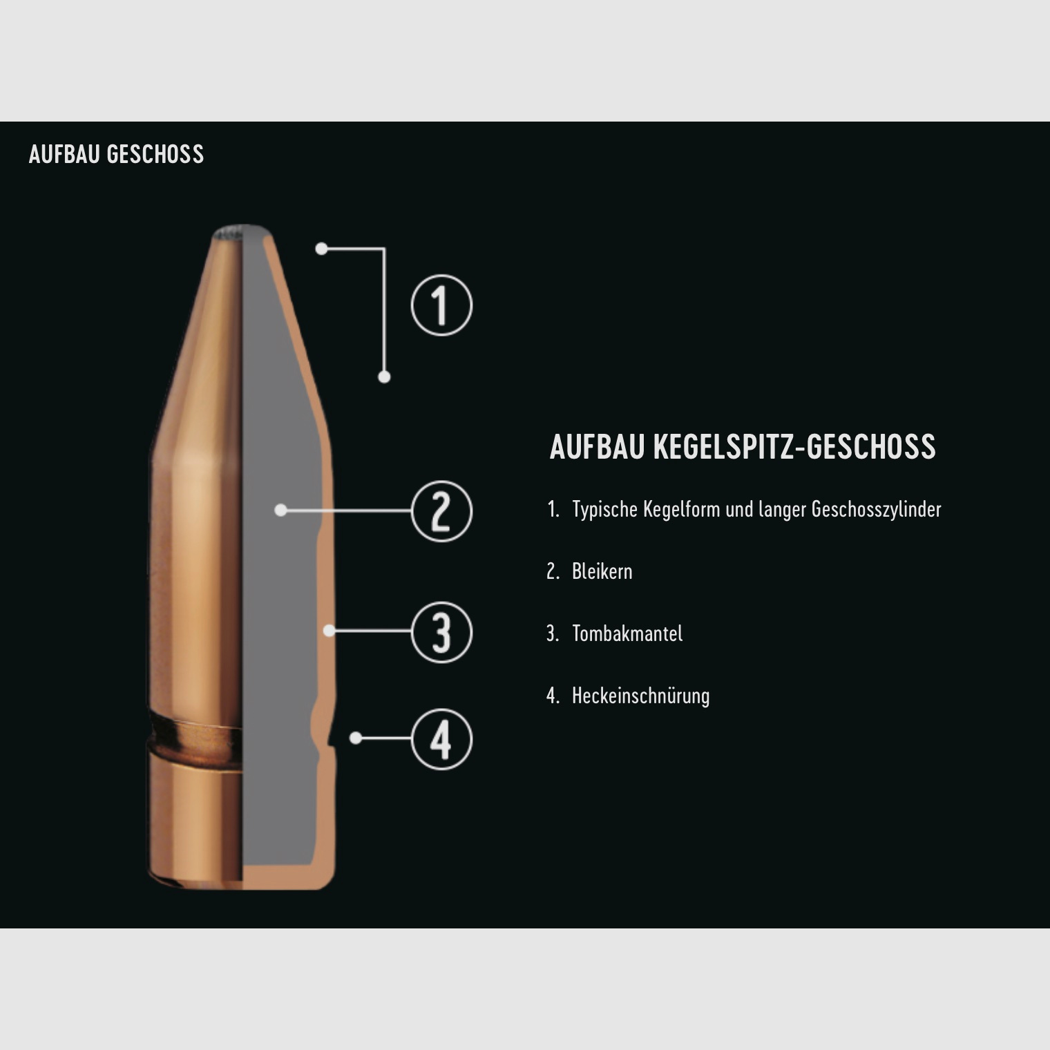 RWS 2116812 .243 Win. Pointe ogivale 6,2g 96grs. 20 pièces.
