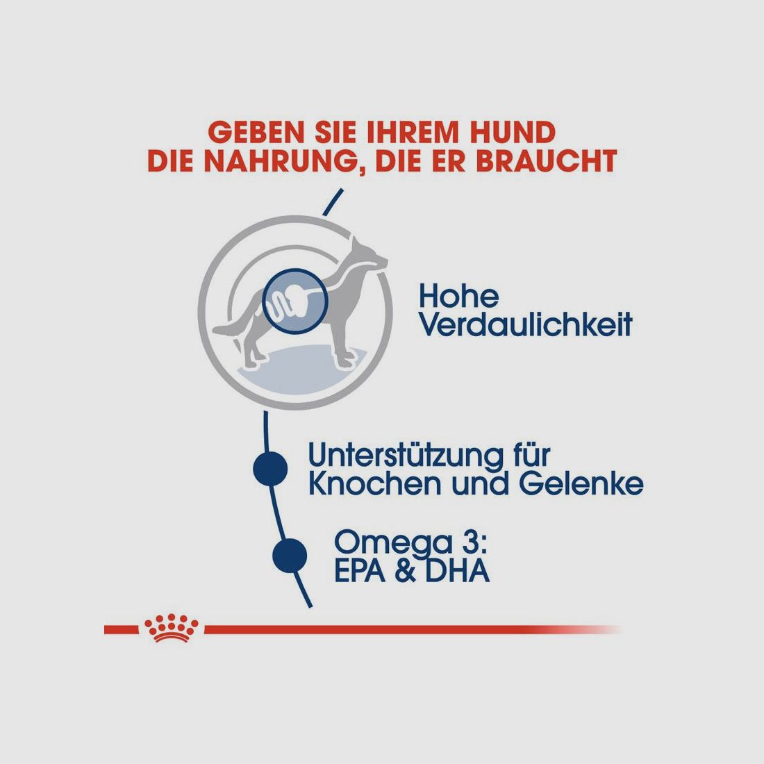 ROYAL CANIN Große Hunde Nassfutter Maxi Adult 10x140 g