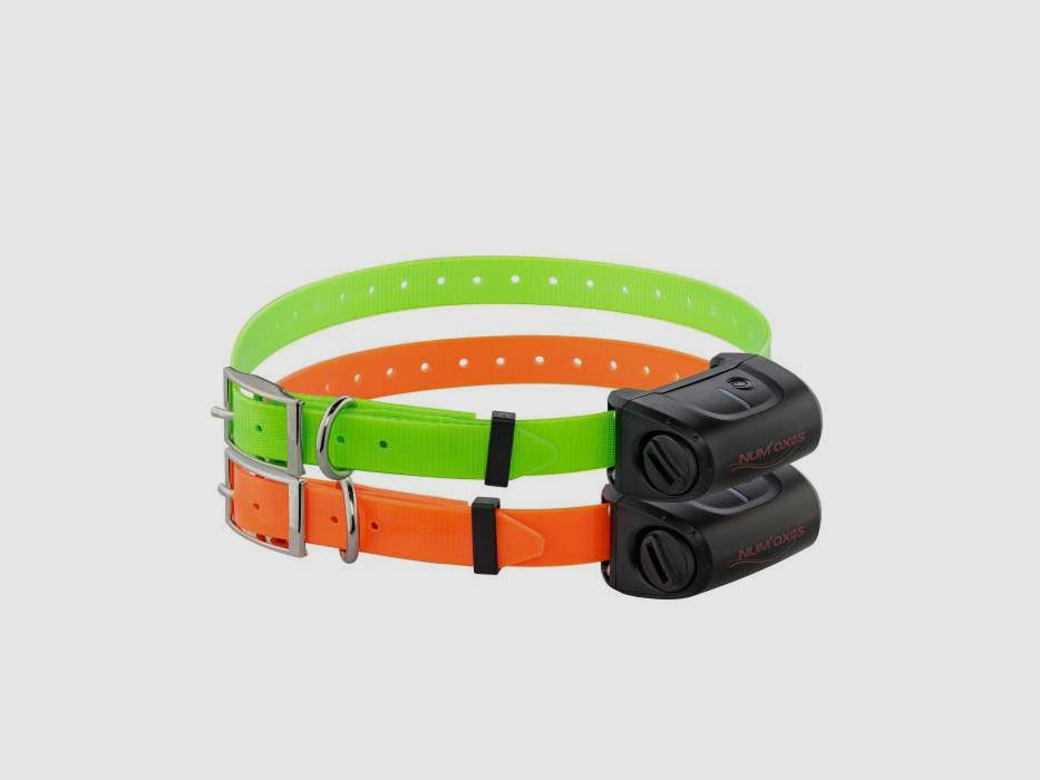Pack Canicom 5.800 pour deux chiens | Num'Axes, image 3 sur 9