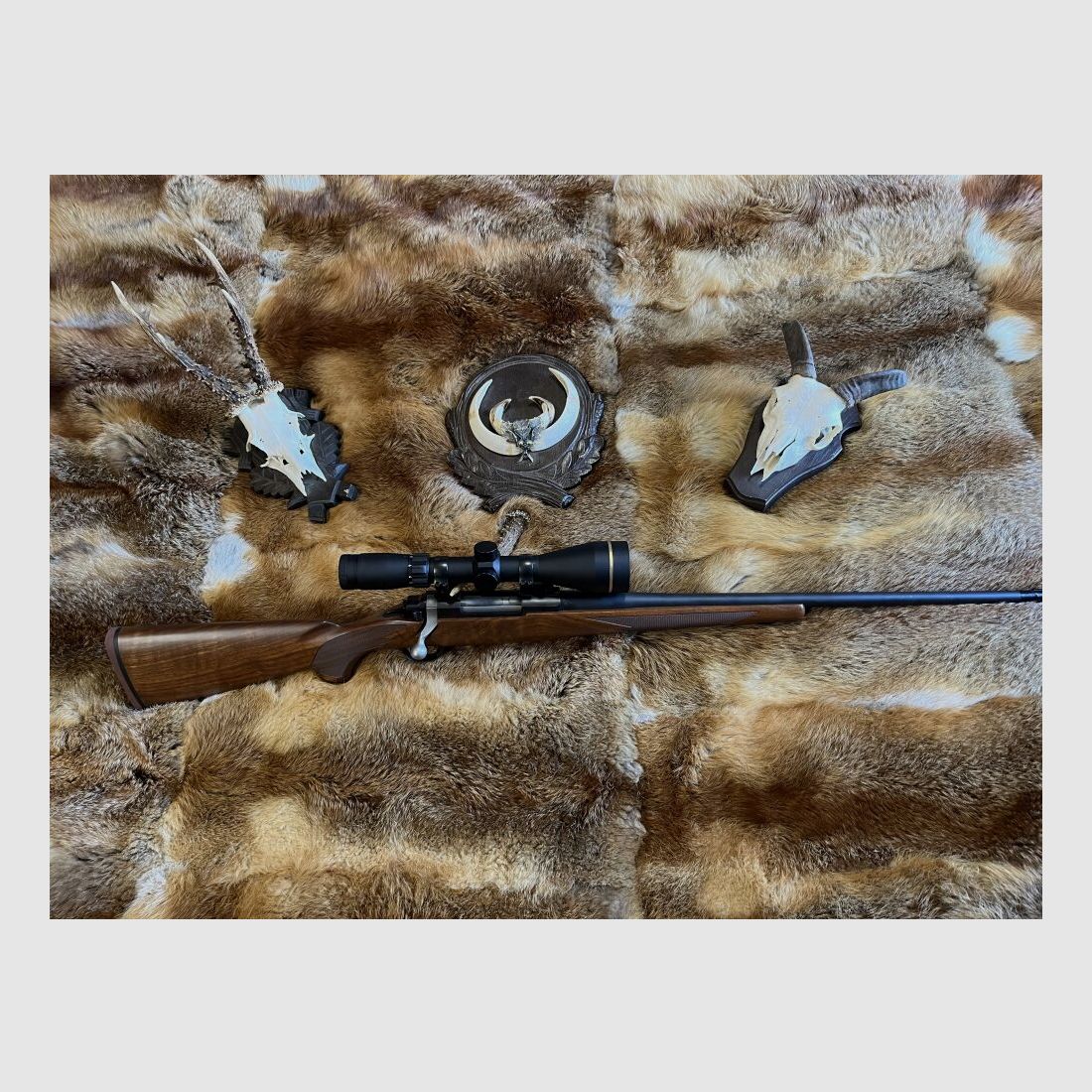 Ruger 77