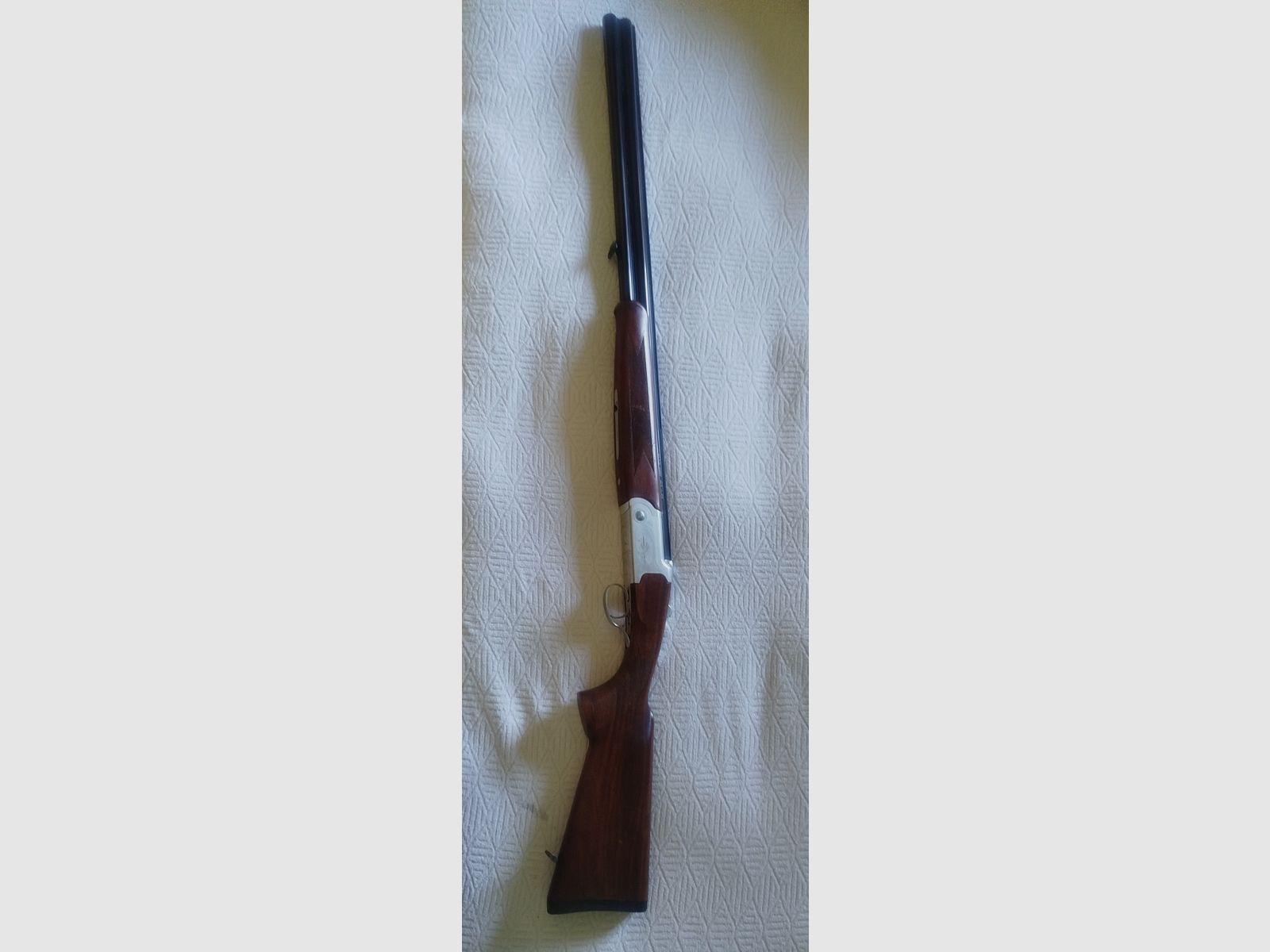 Sovrapposto Yldyz Cal 20