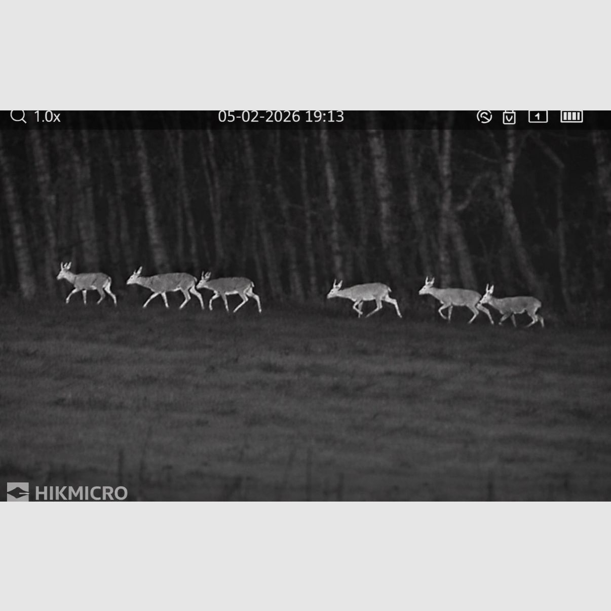 Hikmicro Lynx Pro LH19