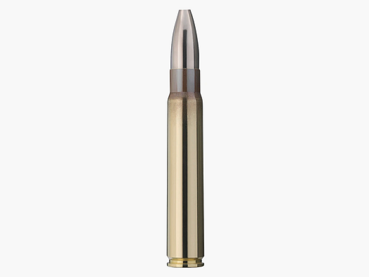 RWS 9,3 x 62 Cineshot 12,7g 196gr munitions pour armes longues 30 pièces