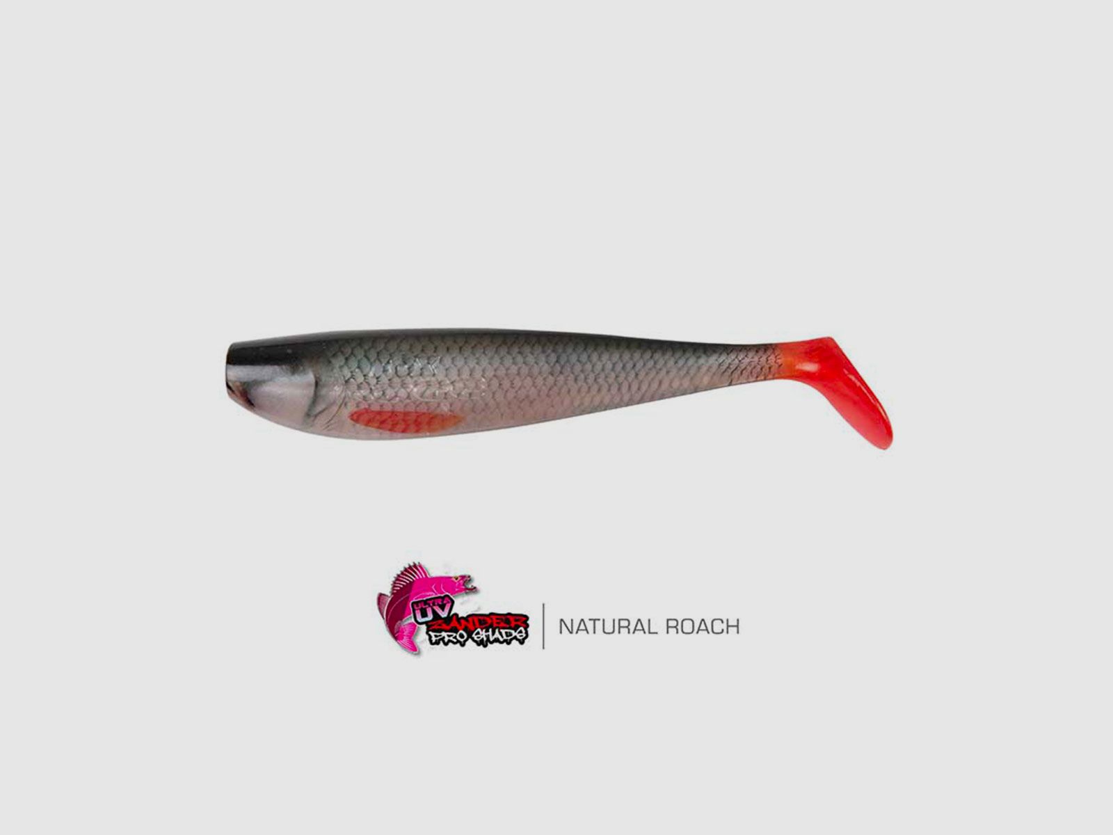 FOX RAGE – NATURALS ZANDER PRO BULK SHADS 14cm 5.5″ | Ultra Realistic Roach, image 1 of 4