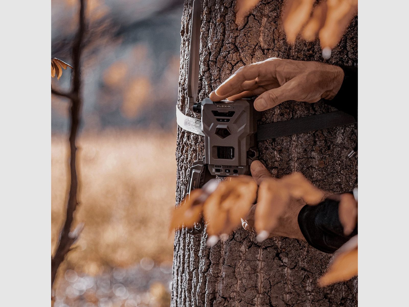 Wildkamera Spypoint Flex – M, Bild 3 von 4