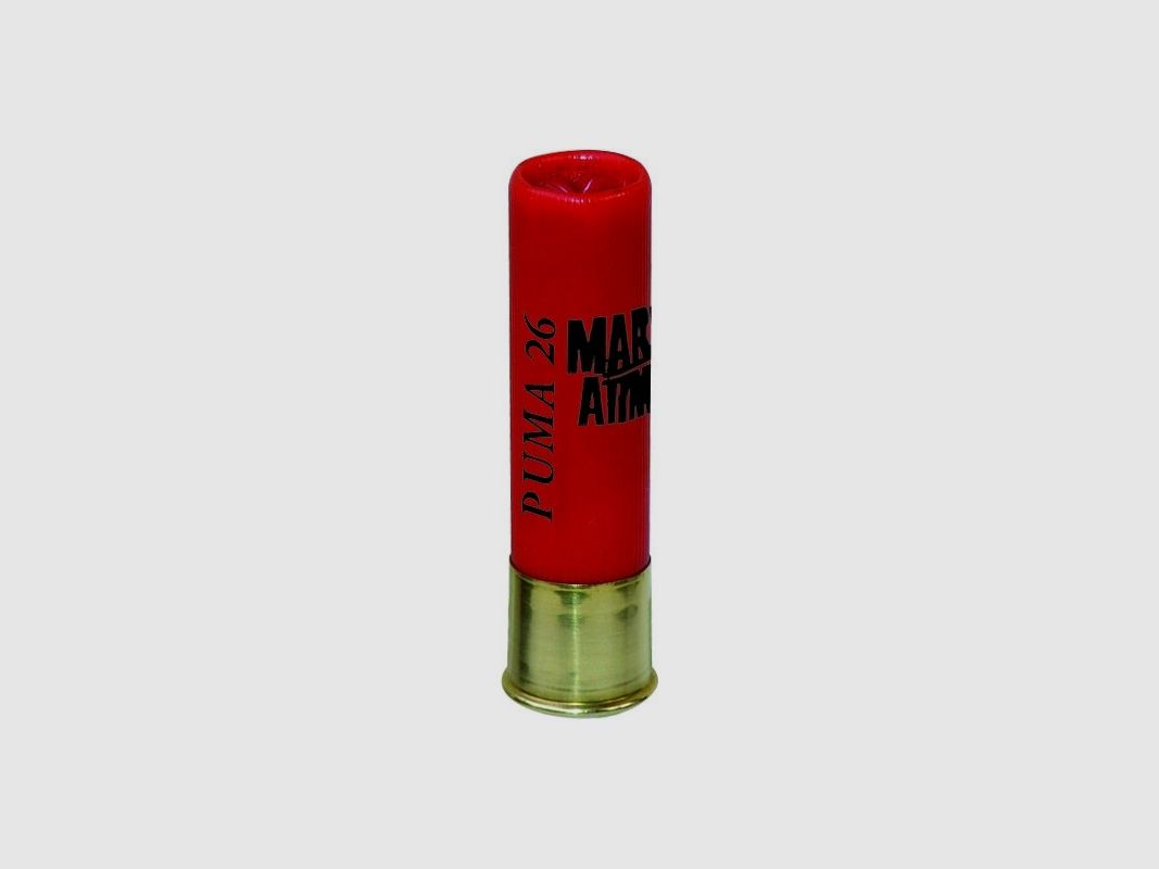 MARY ARM PUMA 26 28/70 BJ, Bild 2 von 2