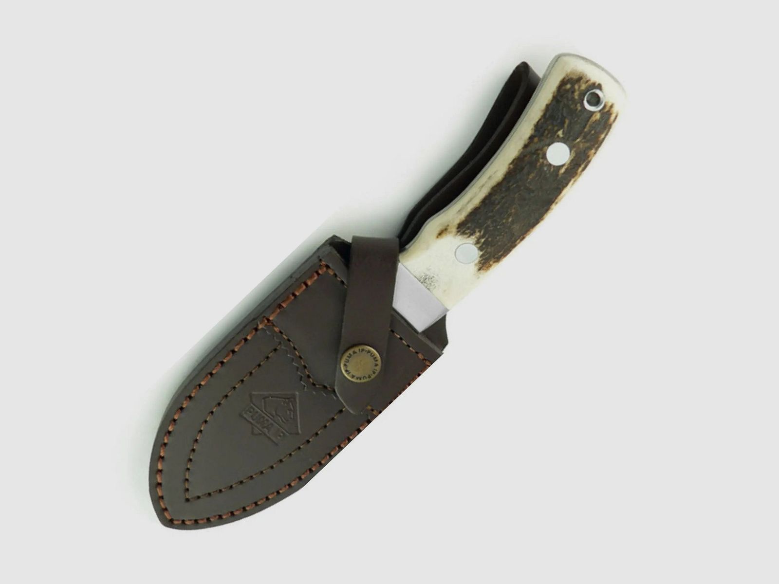 PUMA IP schwarzwild, stag (Verleihung Goldener Keiler 2012)