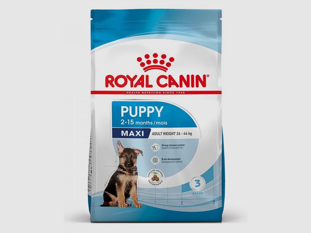 ROYAL CANIN SHN Maxi Puppy 4 kg