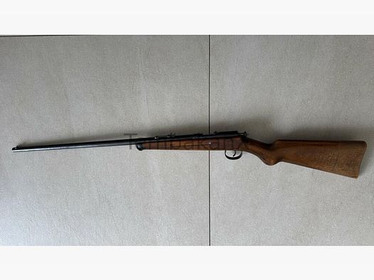 Anschütz .22lr