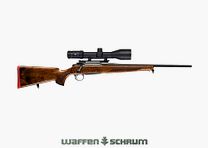Sauer S101 Artemis Elegance Komplettangebot inkl. Optik