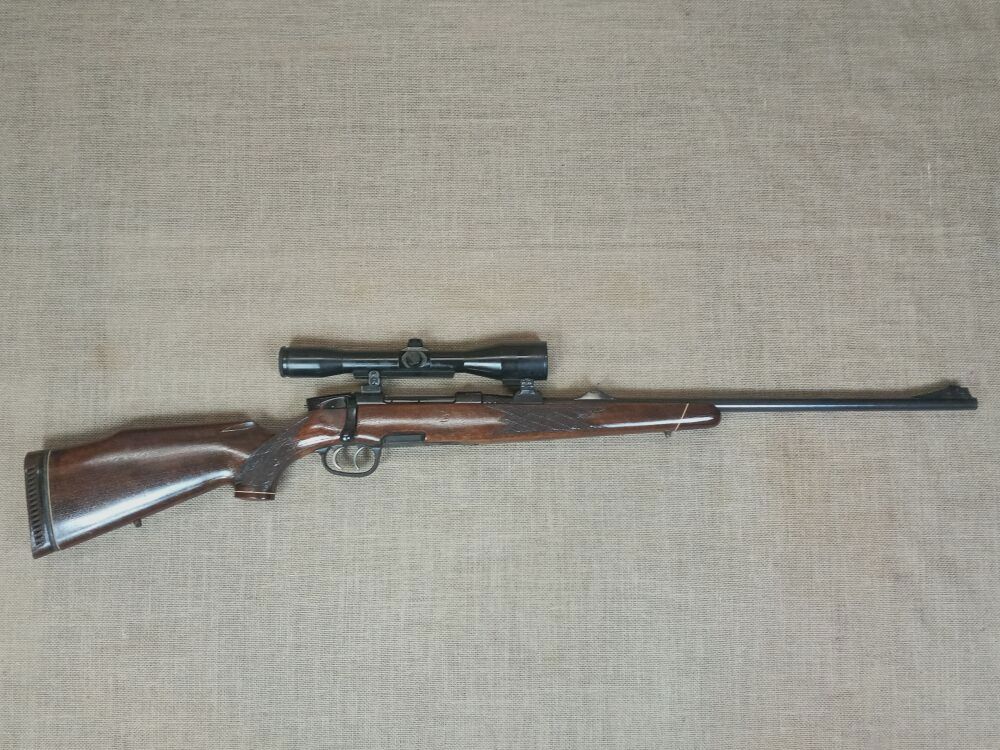 Steyr Mannlicher Modello M